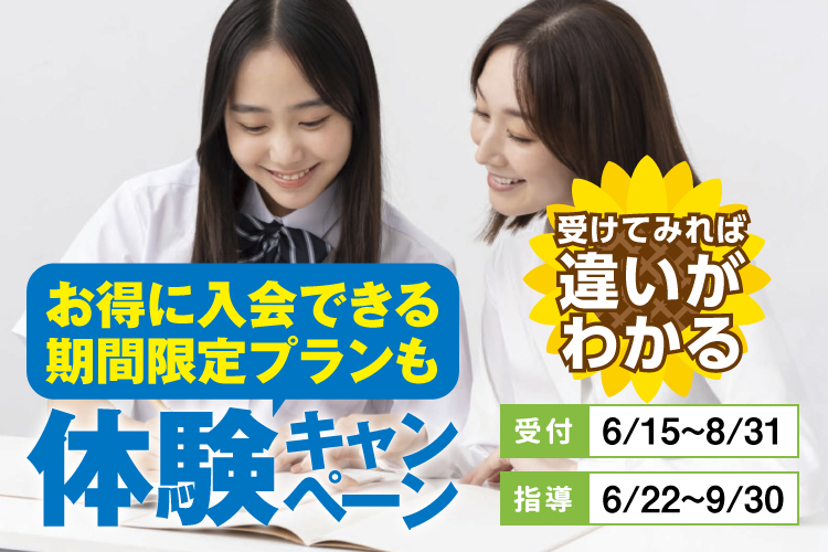 KATEKYOの夏キャンペーン